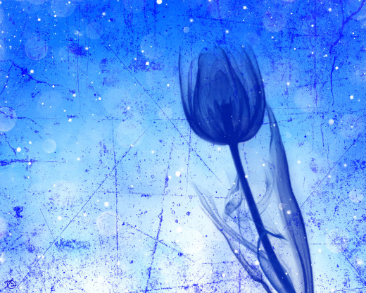 831657 (a): :1920x1536